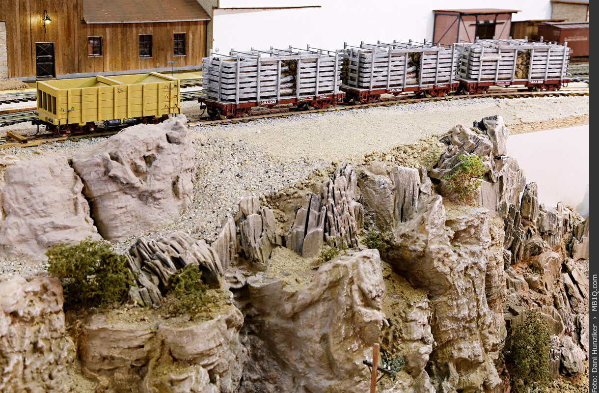 Abgestellte Eisenbahnwagen mit Brennholz