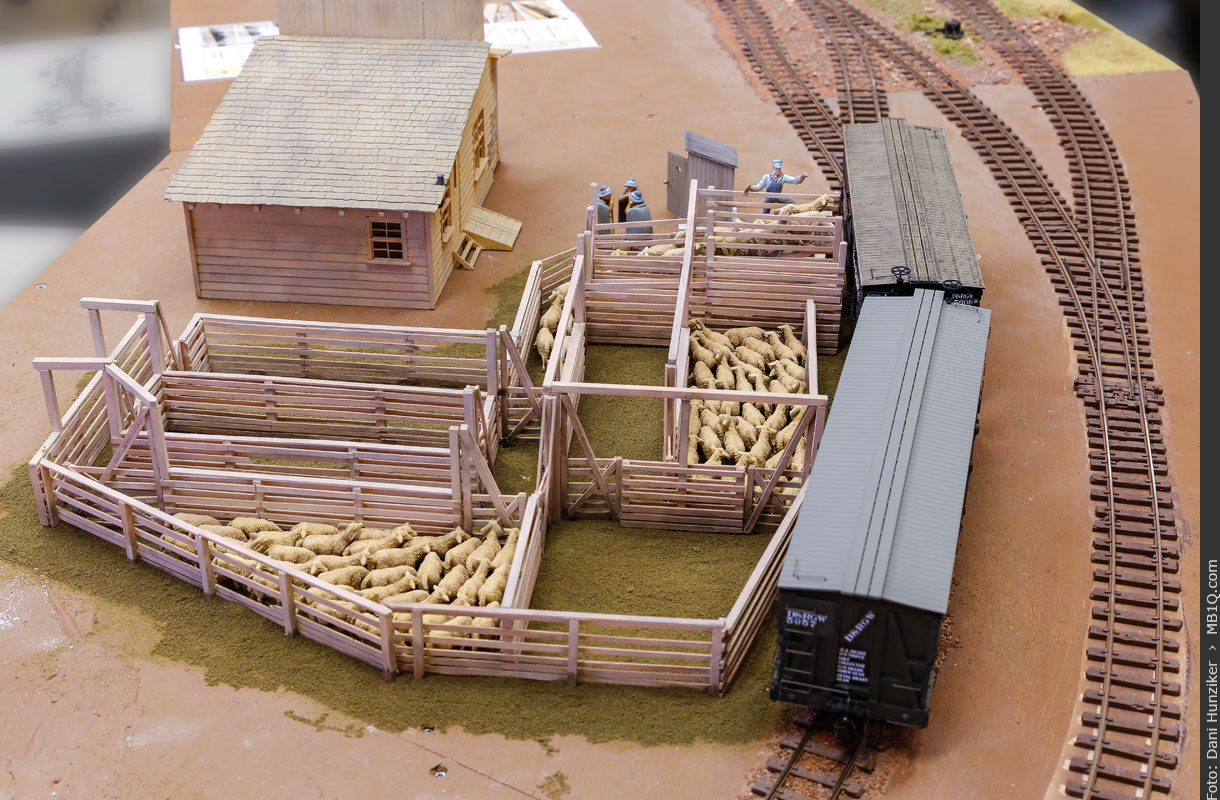 Sheep Yard, Mosquito
