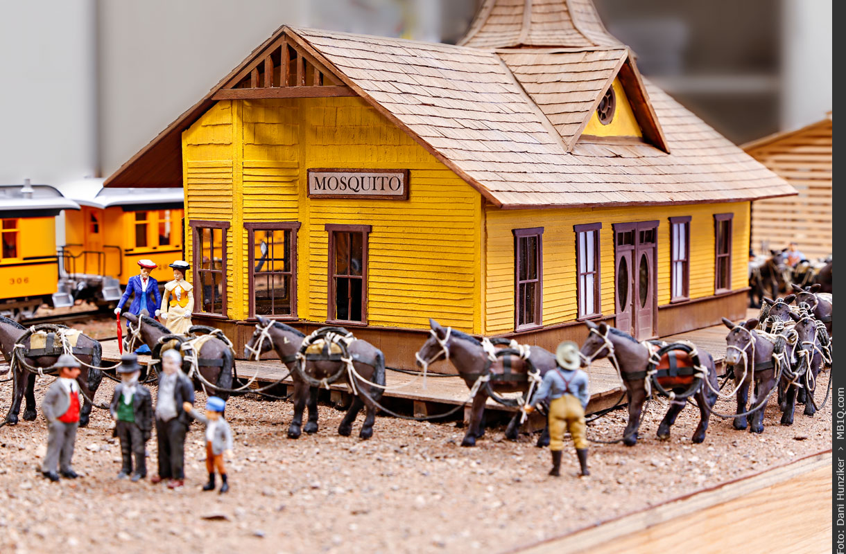 Mosquito & Beer Creek Railroad • 0n30