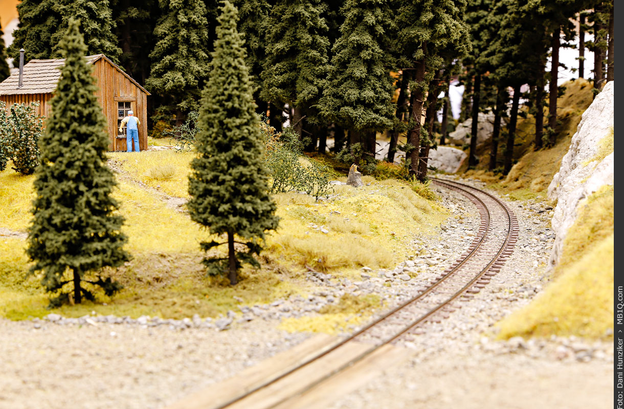 Loggers Cabin