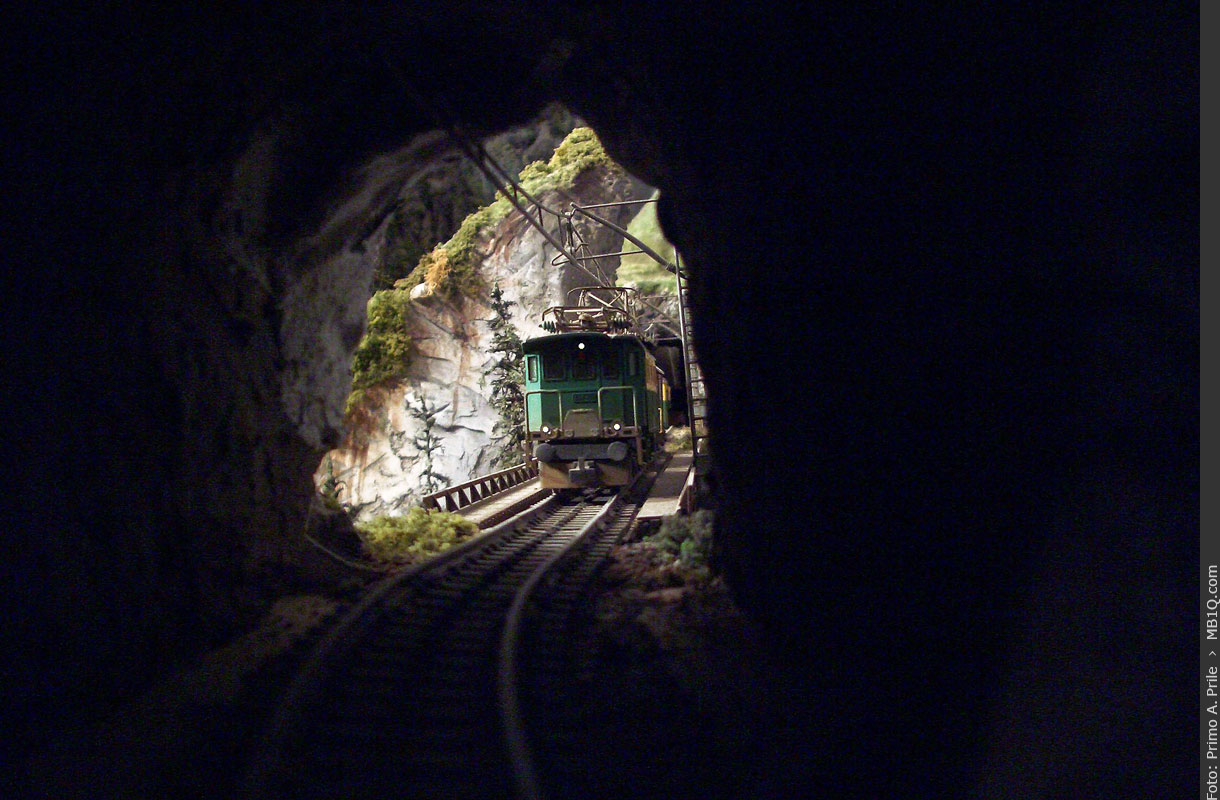 Tunnelblick auf einen TGB-Zug