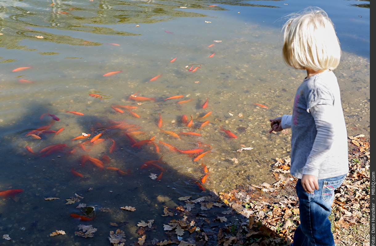 Stimmungsbilder der Leipziger Messe