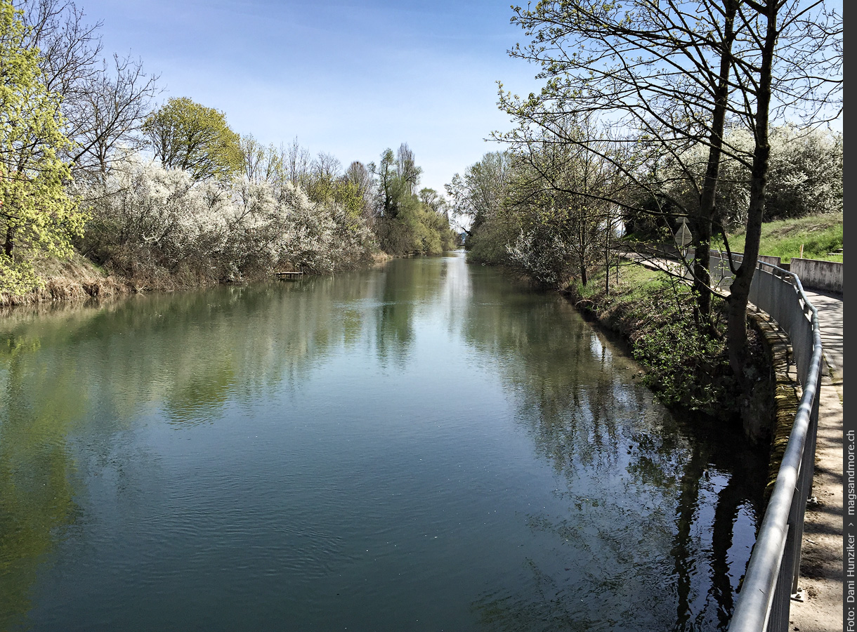 Sonntagsspaziergang zur Petite Camargue Alsacienne