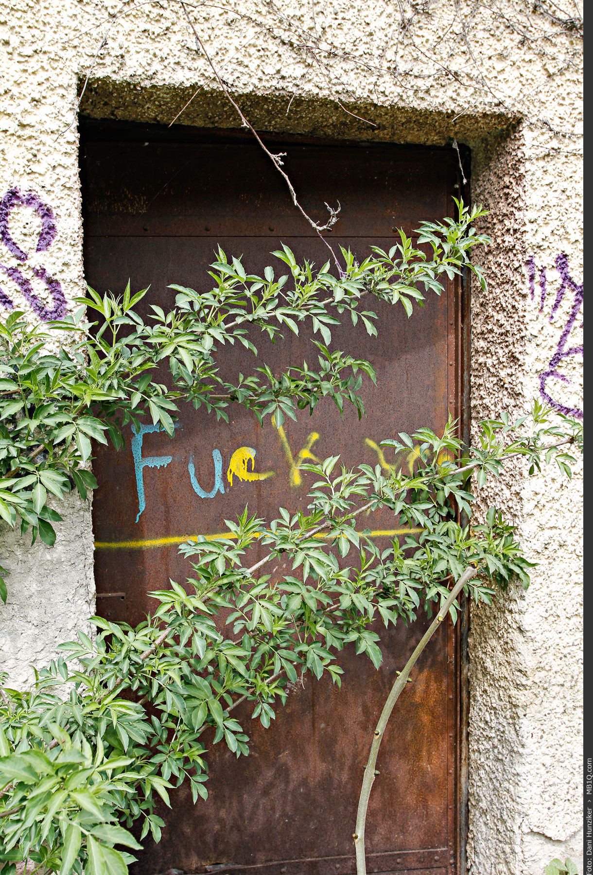 Fuck, auf verrostete Eisentüre gesprayt, Bülach