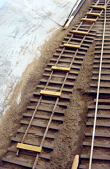 Mann's Creek Railway (Clifftop) [02g]